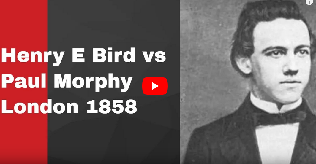 Bird morphy